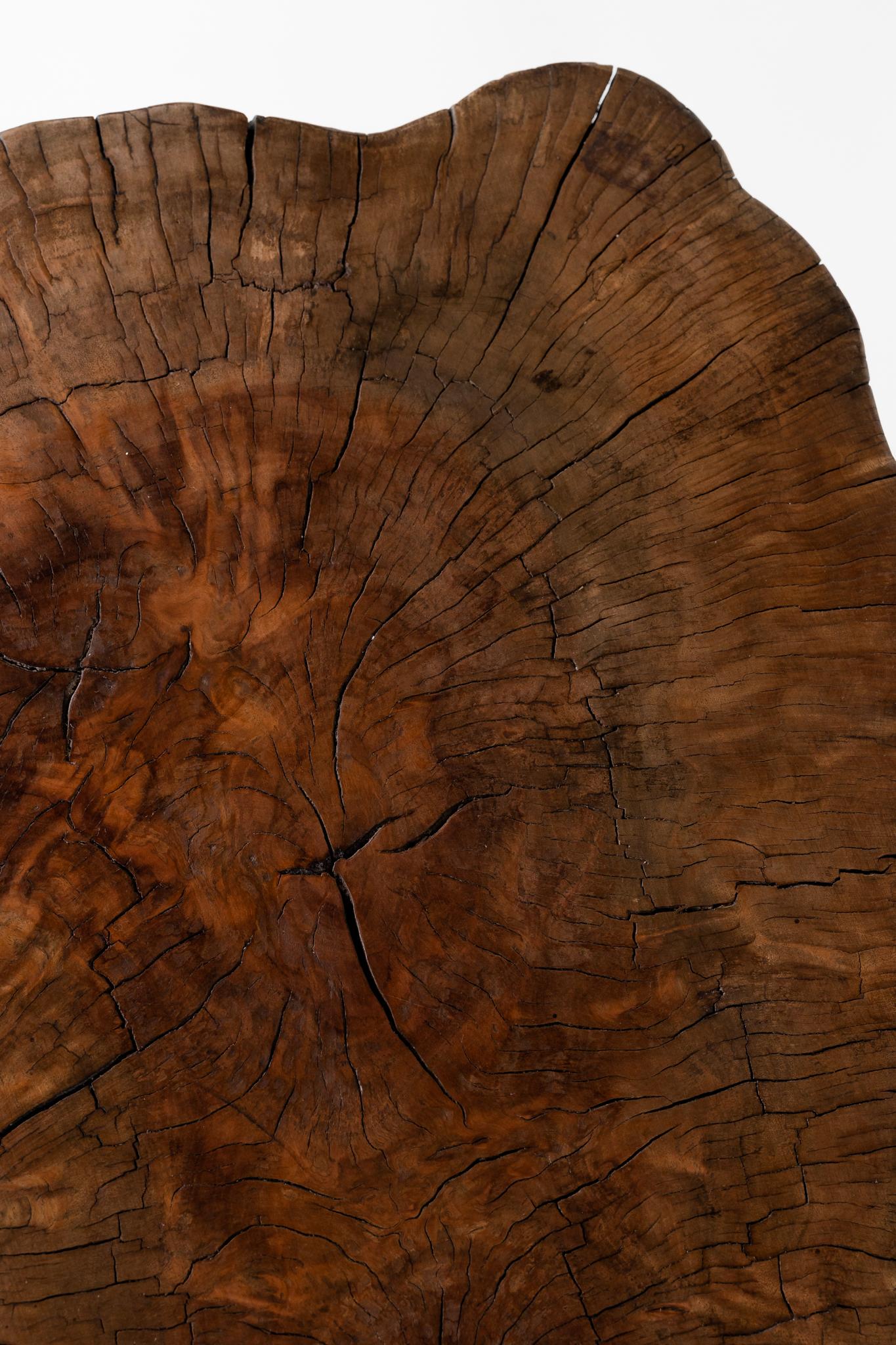 Lychee Wood Stump End Table For Sale 2