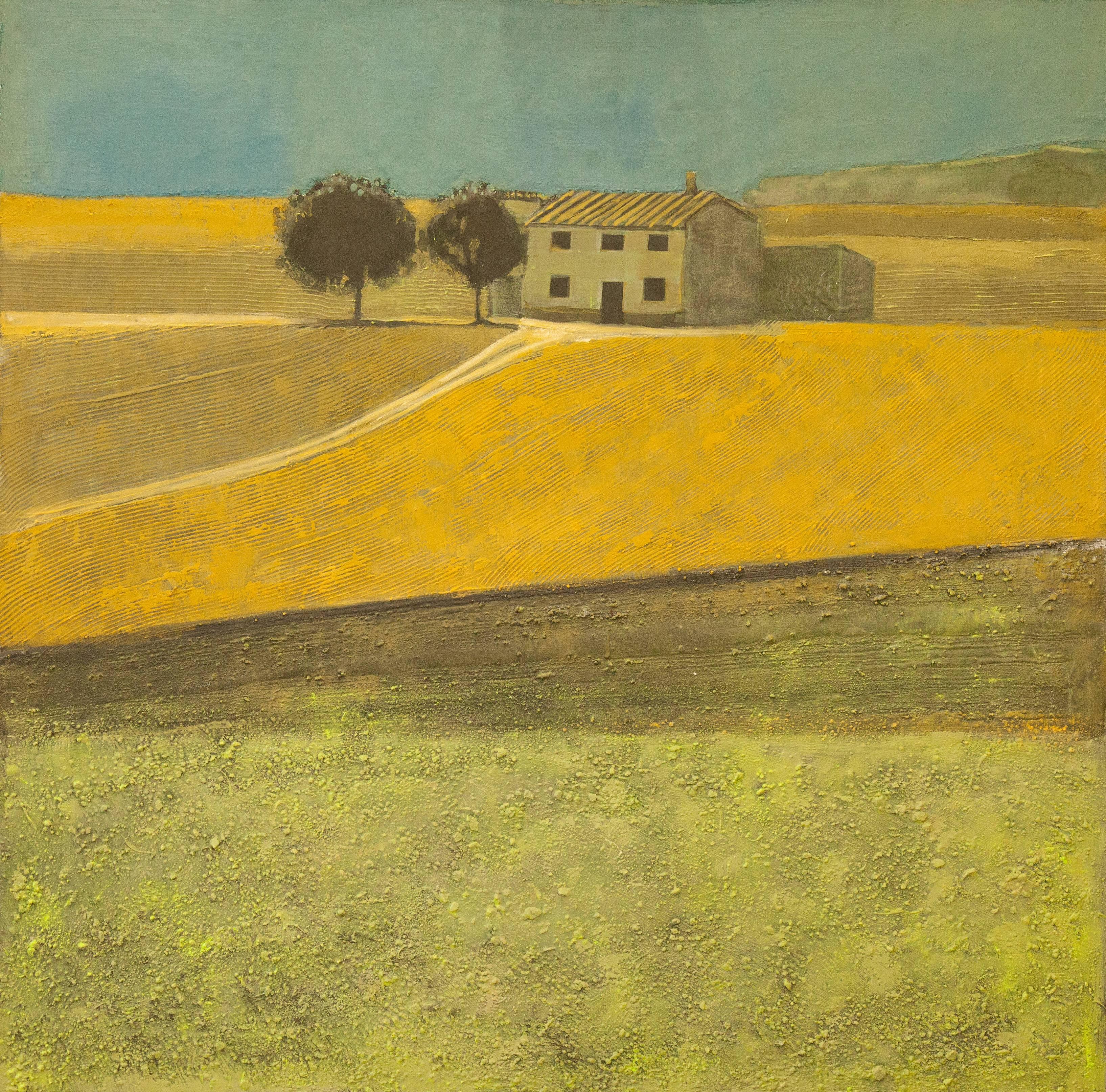 Bauman is a landscape painter, whose interest lies not in narrative, but in form defined by light. She is inspired by motifs as contrasting as the cultivated landscapes of the Mediterranean and the deserts of north Africa and Australia.

Yellow