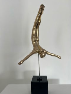 Buzo Cisne Macho Mini-pequeño