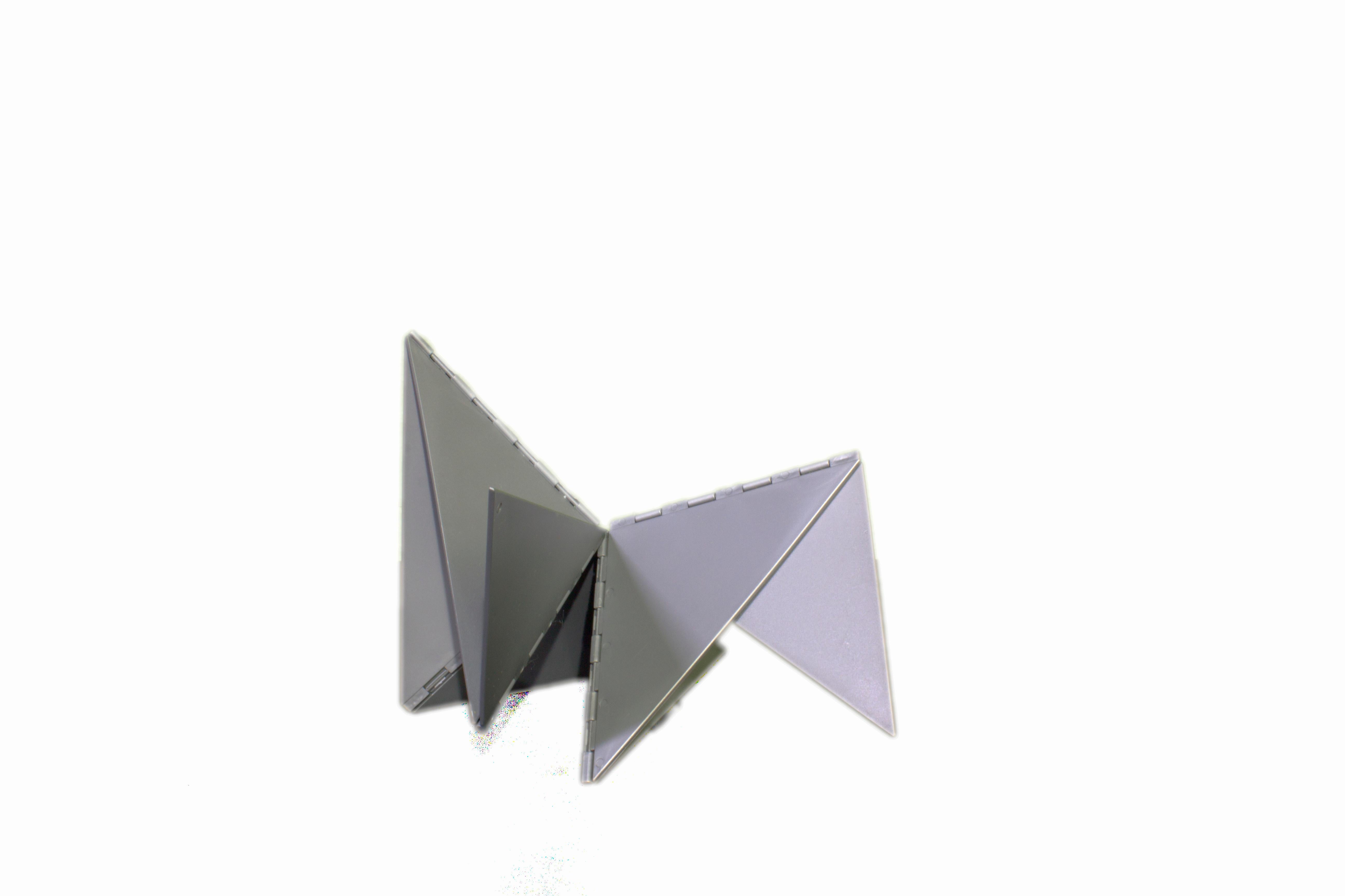 Model based on the work of Lygia Clark, authorized by the heirs and by the cultural association 