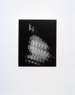 Five Photogravures by Lyle Ashton Harris