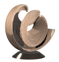 Wood Abstract Sculptures