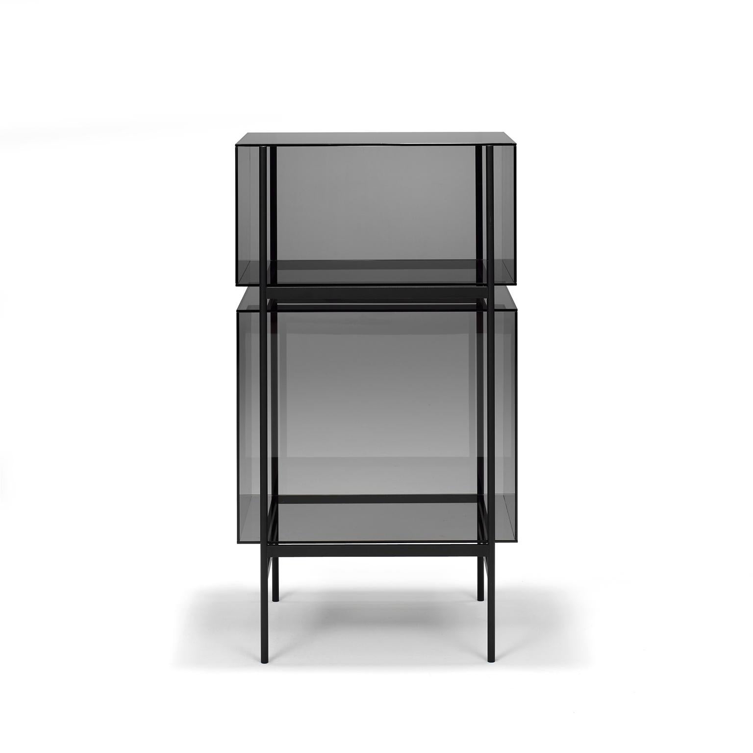 Lyn cabinet, European, Minimalist, grey, black base, German, cabinet, 21st century, small size

Studio Visser & Meijwaard describe their conception of lyn as a “graphic interplay between glass and the metal frameworks”. The doorless and diverse