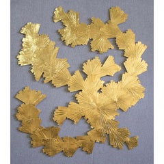 Plant Attunement II