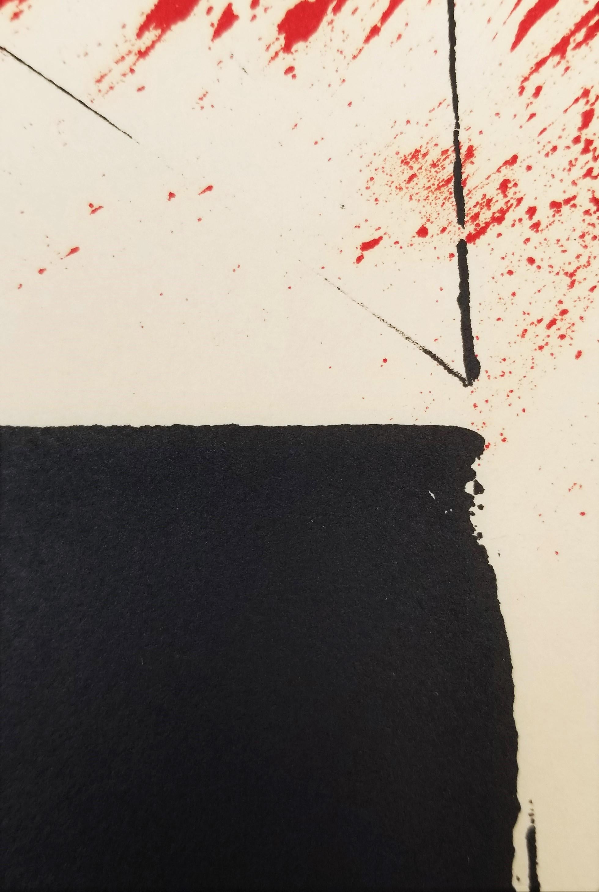 Red and Black II /// Abstract Expressionist Lynn Chadwick British Minimalism Art For Sale 12