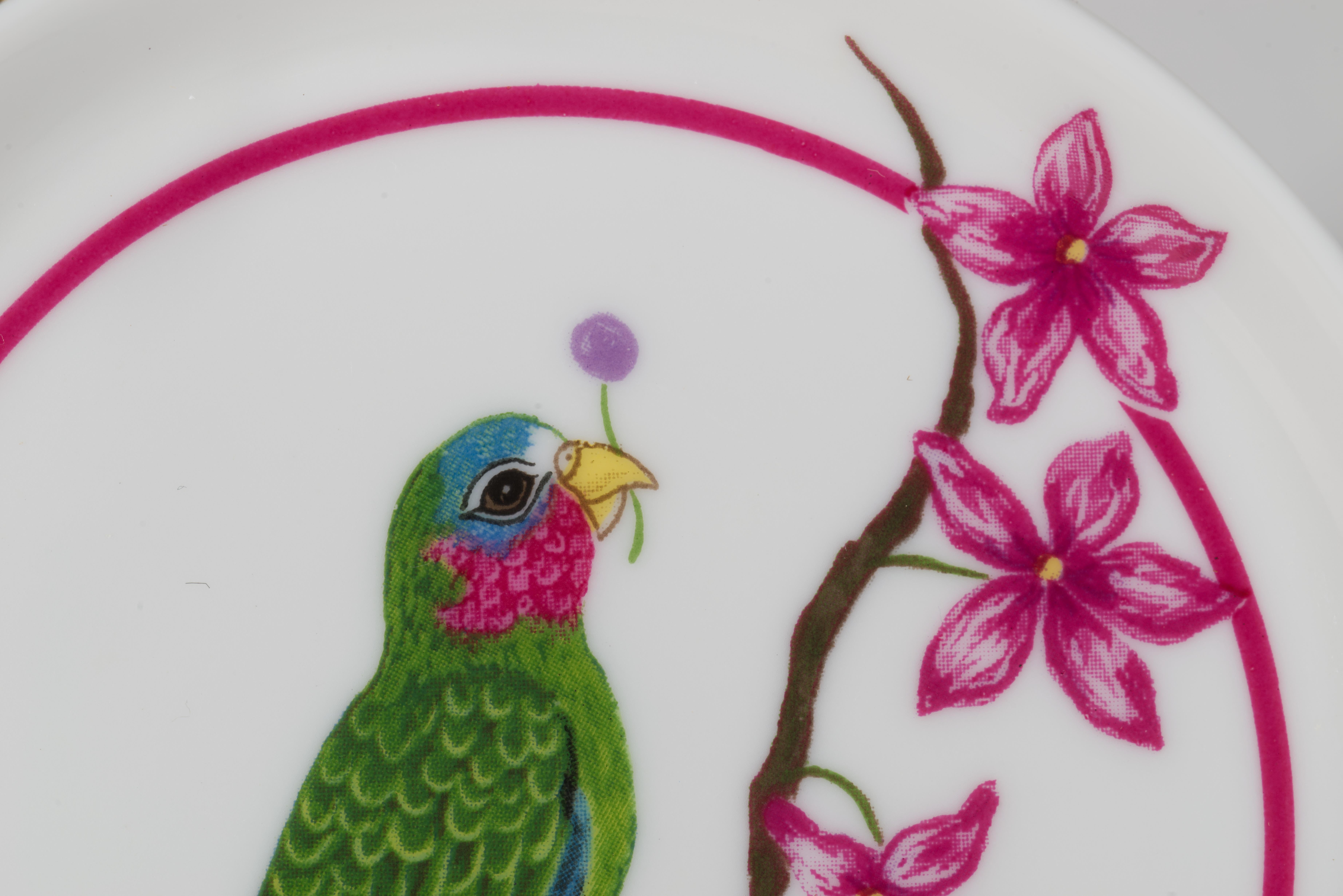 Lynn Chase Parrots of Paradise Set 4 Porcelain Coasters in Box For Sale 2