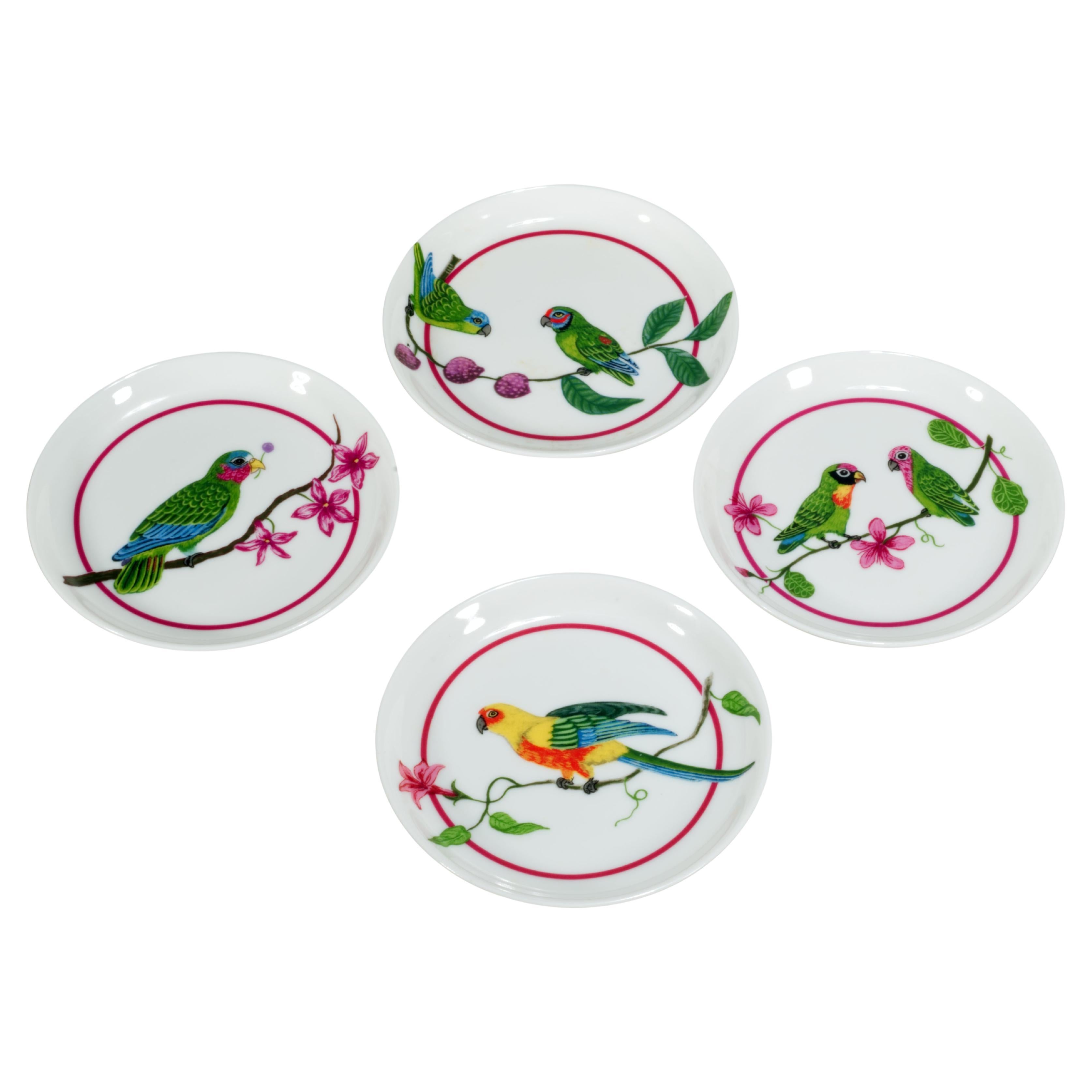 Lynn Chase Parrots of Paradise Set 4 Porcelain Coasters in Box For Sale