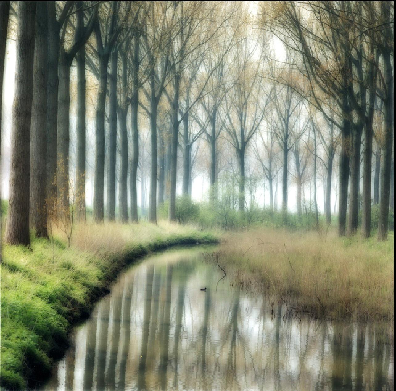 Lynn Geesaman Landscape Photograph - Damme, Belgium (4-04-5c-4)