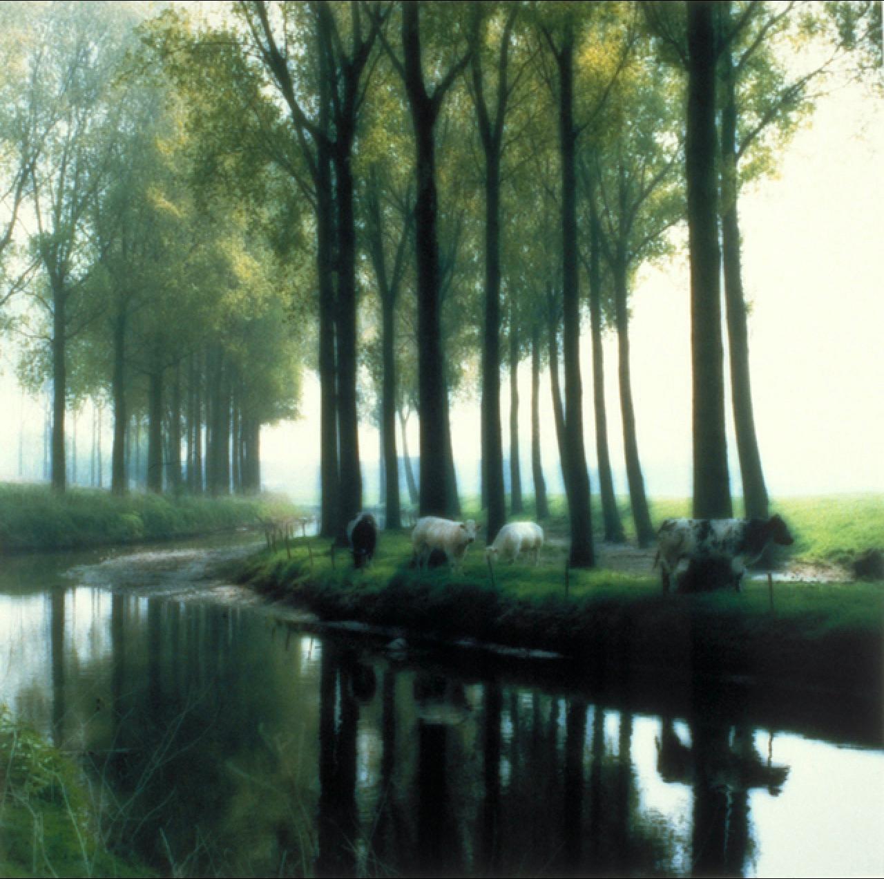 Lynn Geesaman Color Photograph - Damme, Belgium (5-95-26c-5)