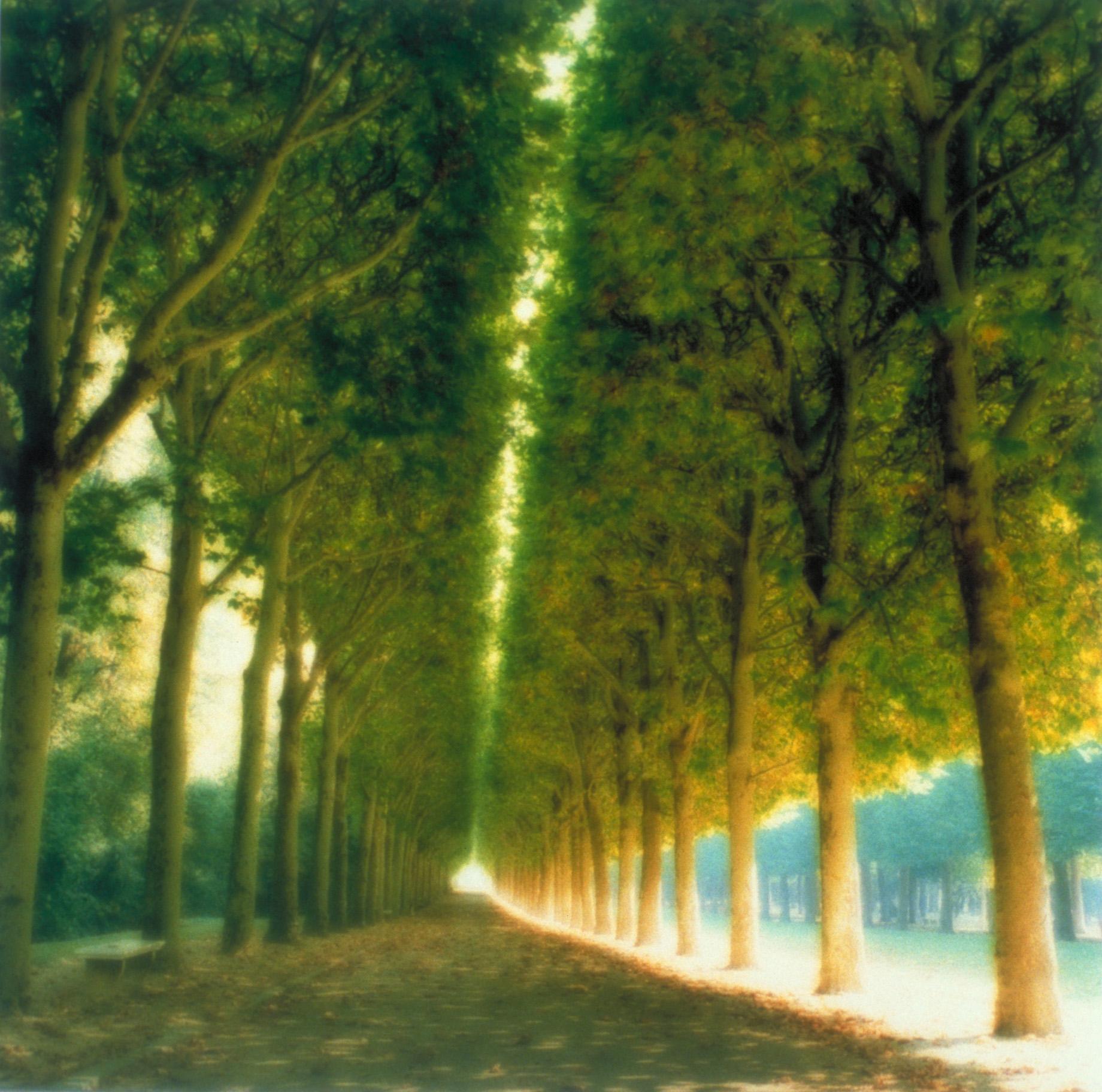 Lynn Geesaman Color Photograph - Parc de Sceaux, France (10-97-7c-8)