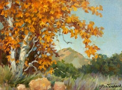 Autumn Gold, Kalifornien. Zeitgenössische kalifornische Landschaft.