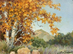 Autumn Gold, Kalifornien. Zeitgenössische kalifornische Landschaft.