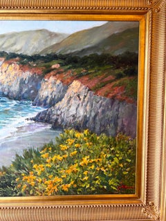 En la Bahía de Monterrey, playa del Parque Estatal de Garrapata.