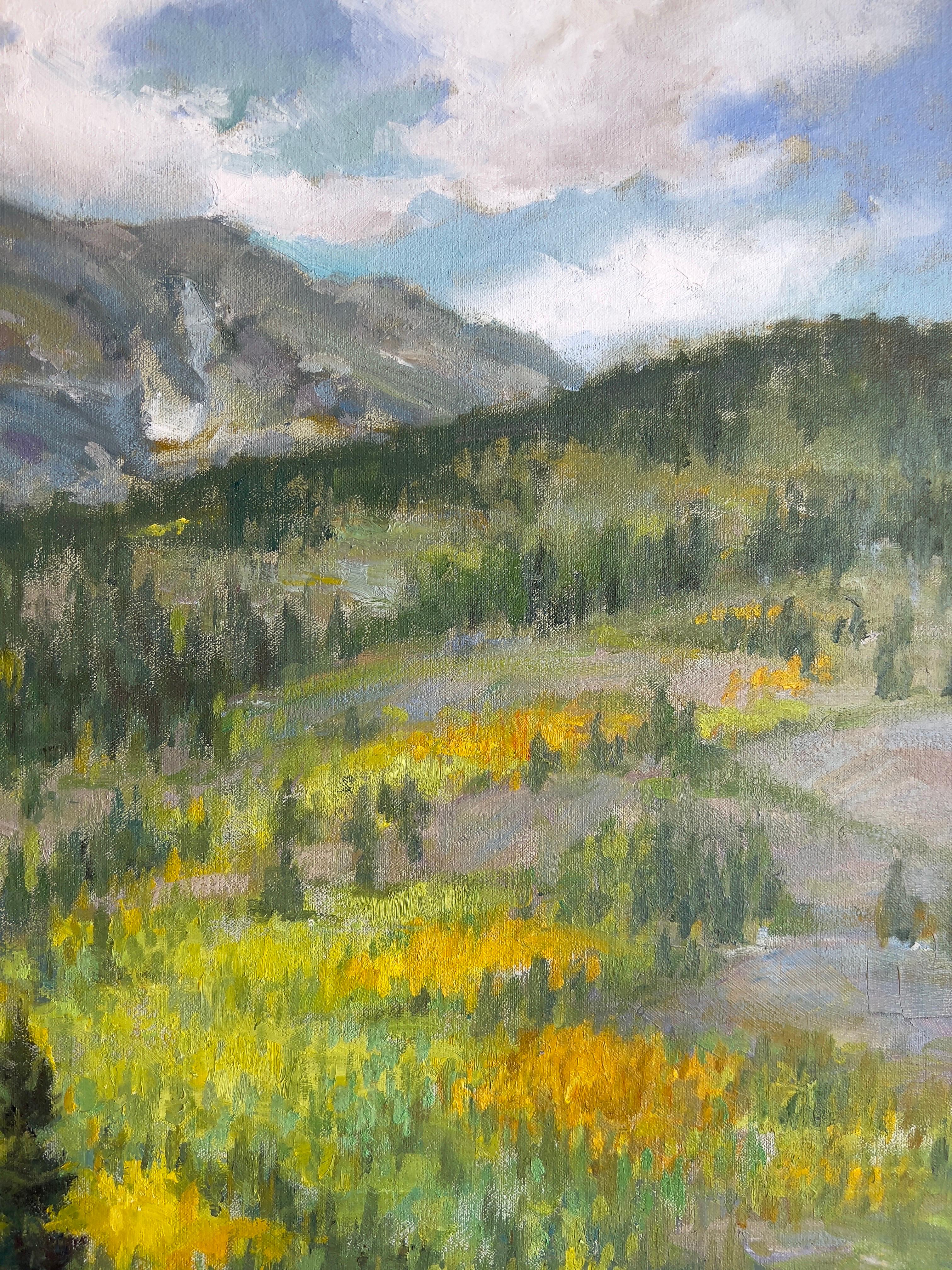 Going up to Silverton Canyon, Santa Ana mountains. - Gray Landscape Painting by Lynn Gertenbach