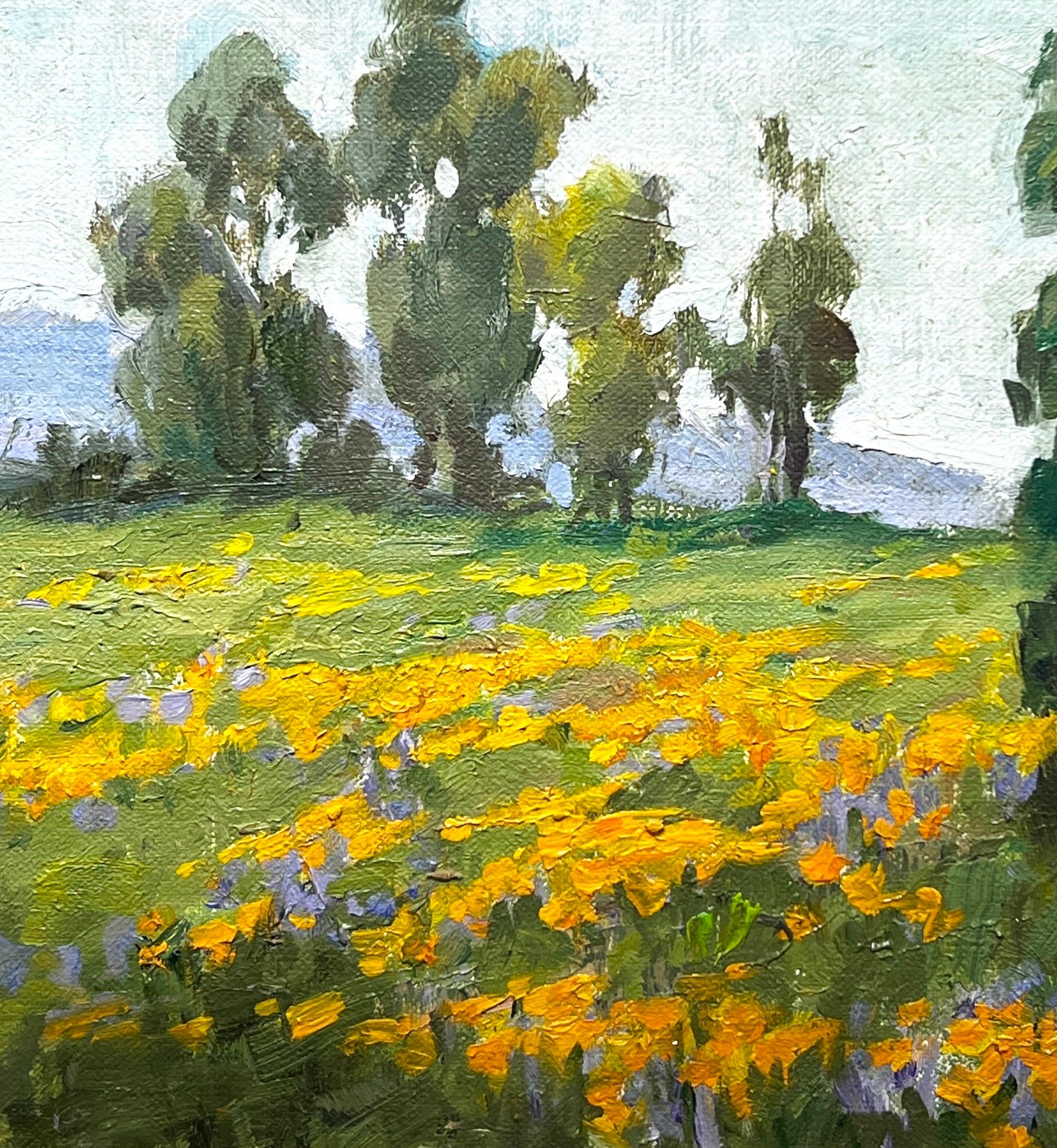 Lake Elsinore Poppies. - Impressionist Painting by Lynn Gertenbach