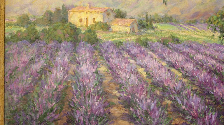 Lavender Farm, Lavender Field. For Sale 5