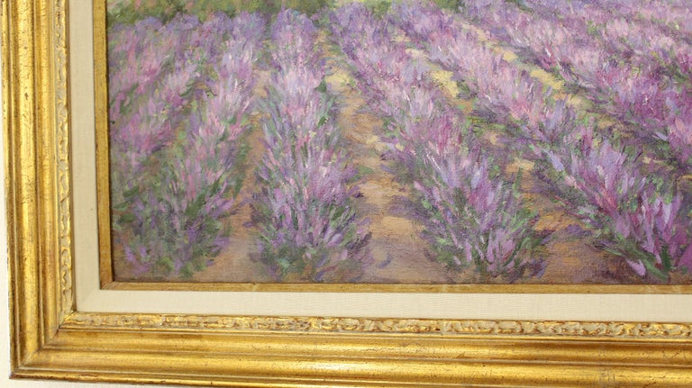 Lavender Farm, Lavender Field. For Sale 2