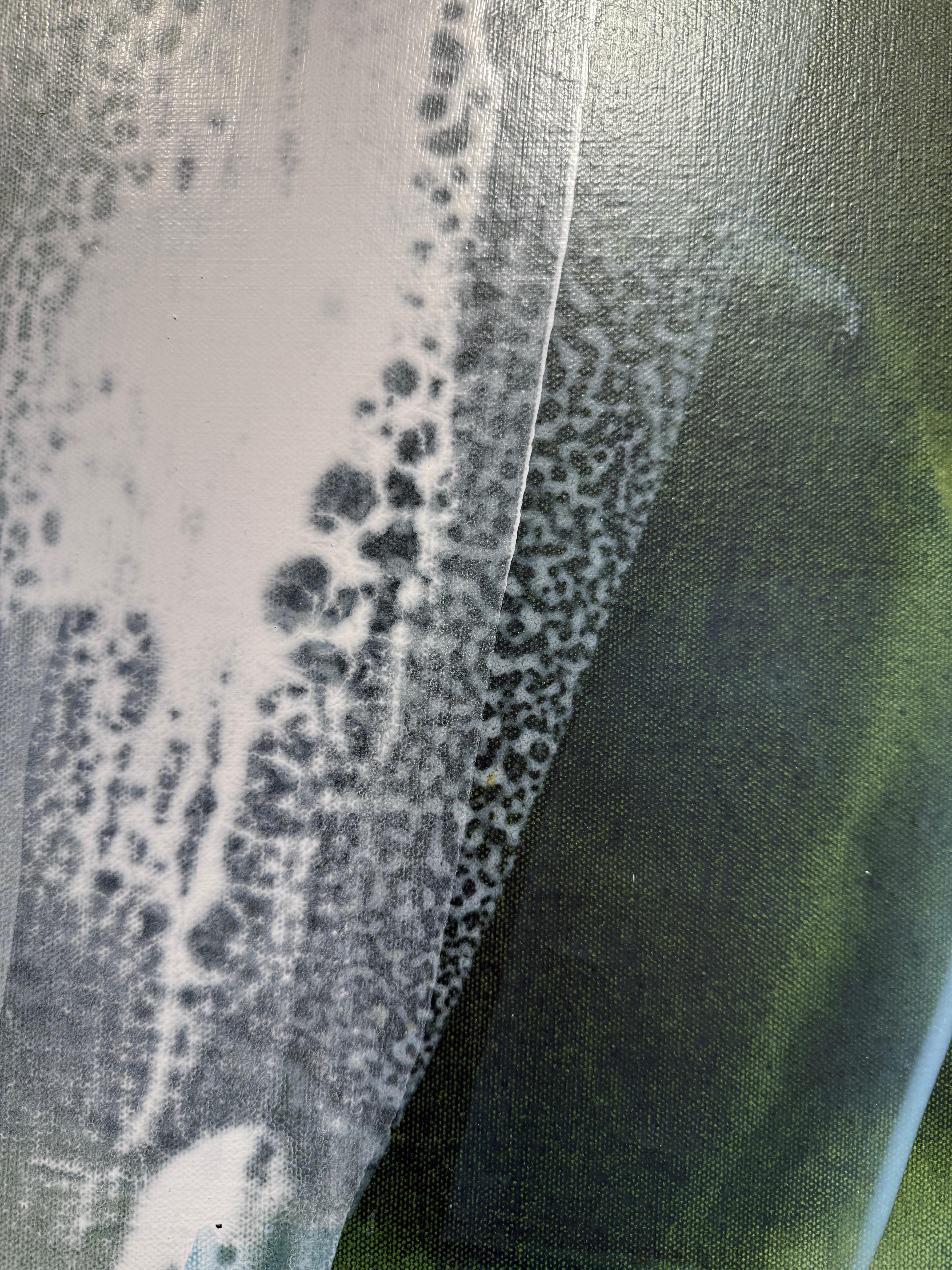 Gezeiten der Wildblumen (Grau), Abstract Painting, von Lynn Sanders