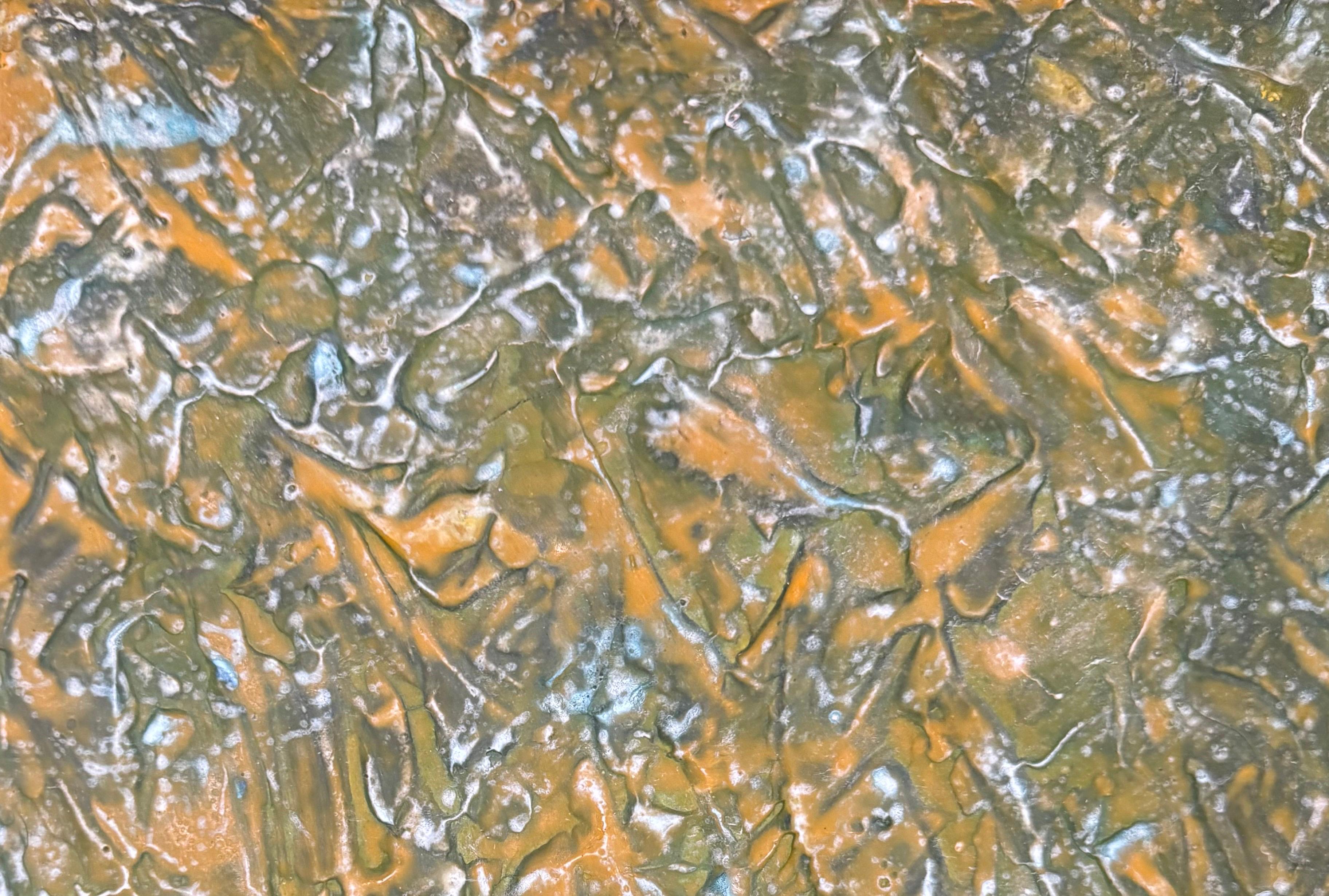 Pintura al óleo abstracta Miami Mujer Modernista Lynne Golob Gelfman Raíces fangosas en venta 3