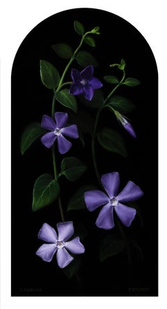 Vinca -  Nostalgia - Pittura figurativa Colori Nero Viola