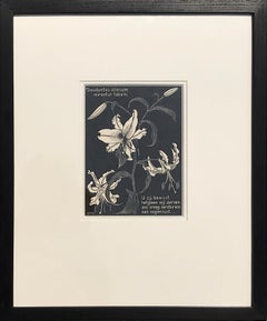 Flowers, Lilies