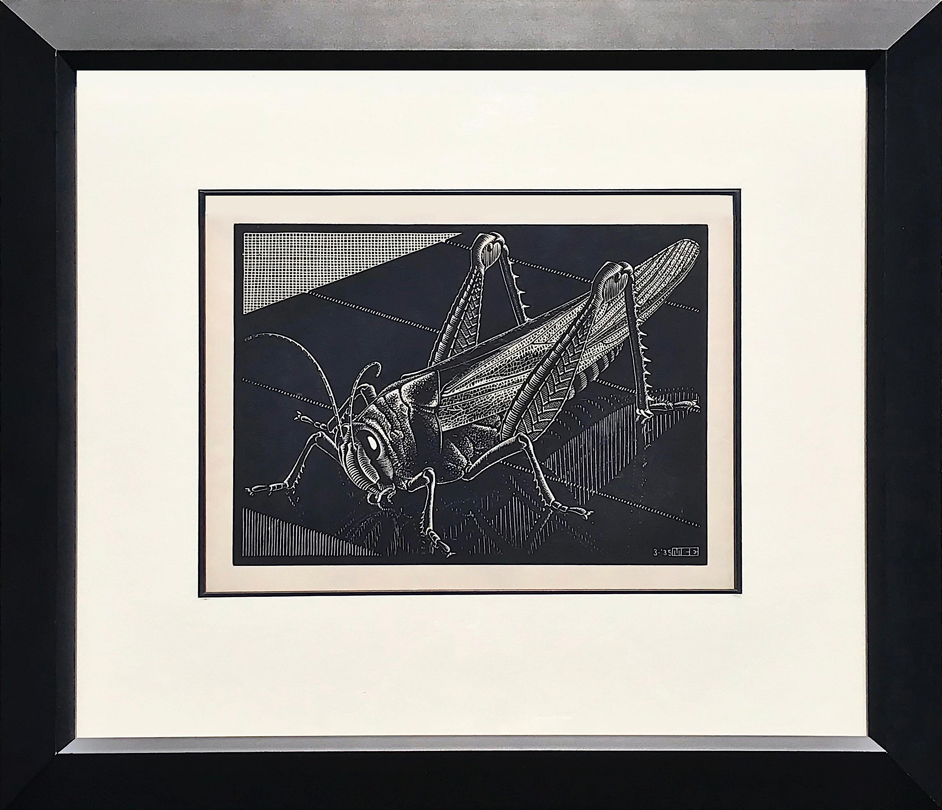 Grasshopper - Print by M.C. Escher