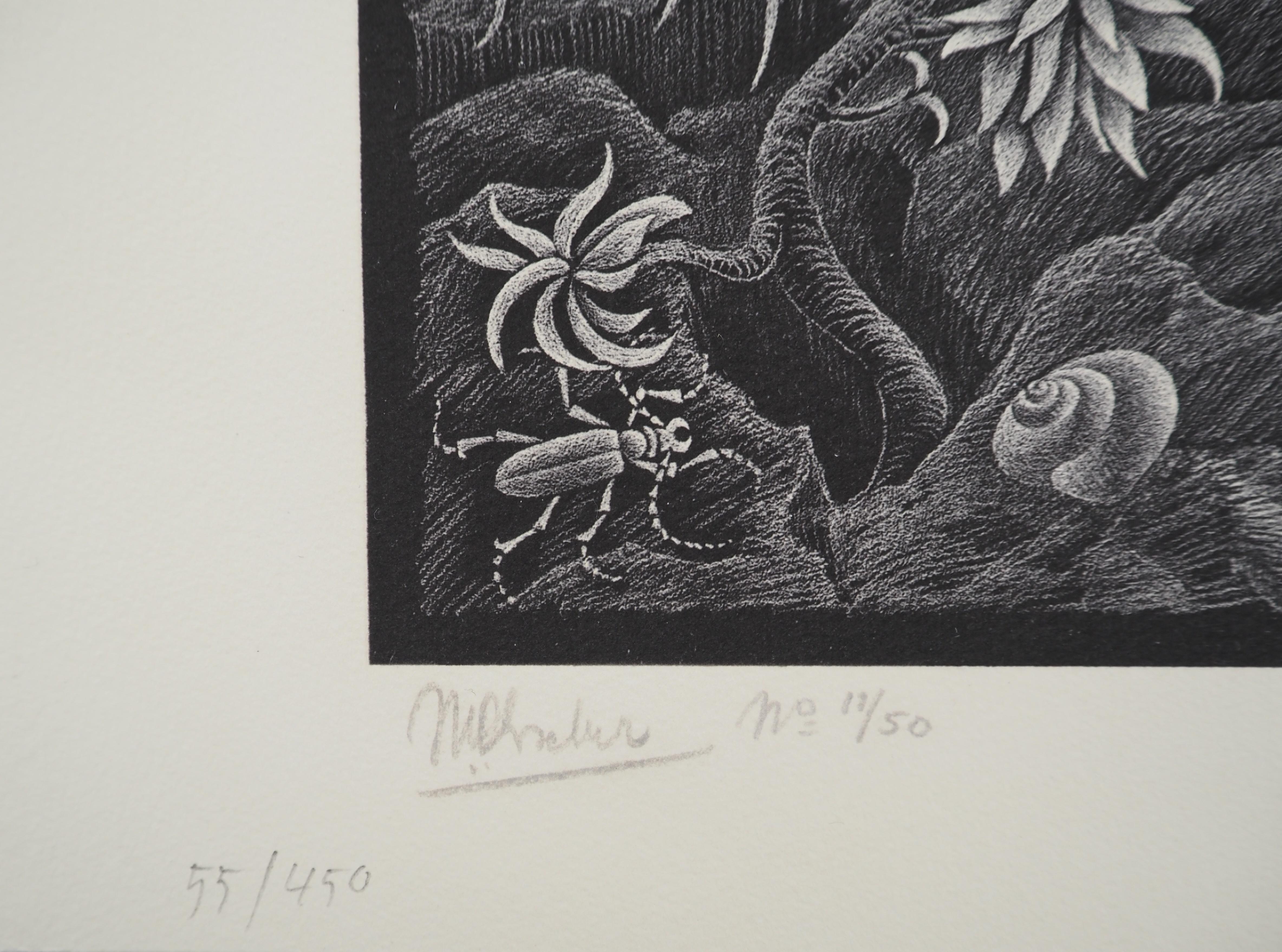 M.C. ESCHER (1898-1972)
Italian landscape- Castrovalva, 2008

Facsimile after the original woodcut from 1935
Signed in the plate
Numbered / 450 copies (the number you can see can be different)
On vellum 64,5 x 55 cm
Published by M.C. Escher