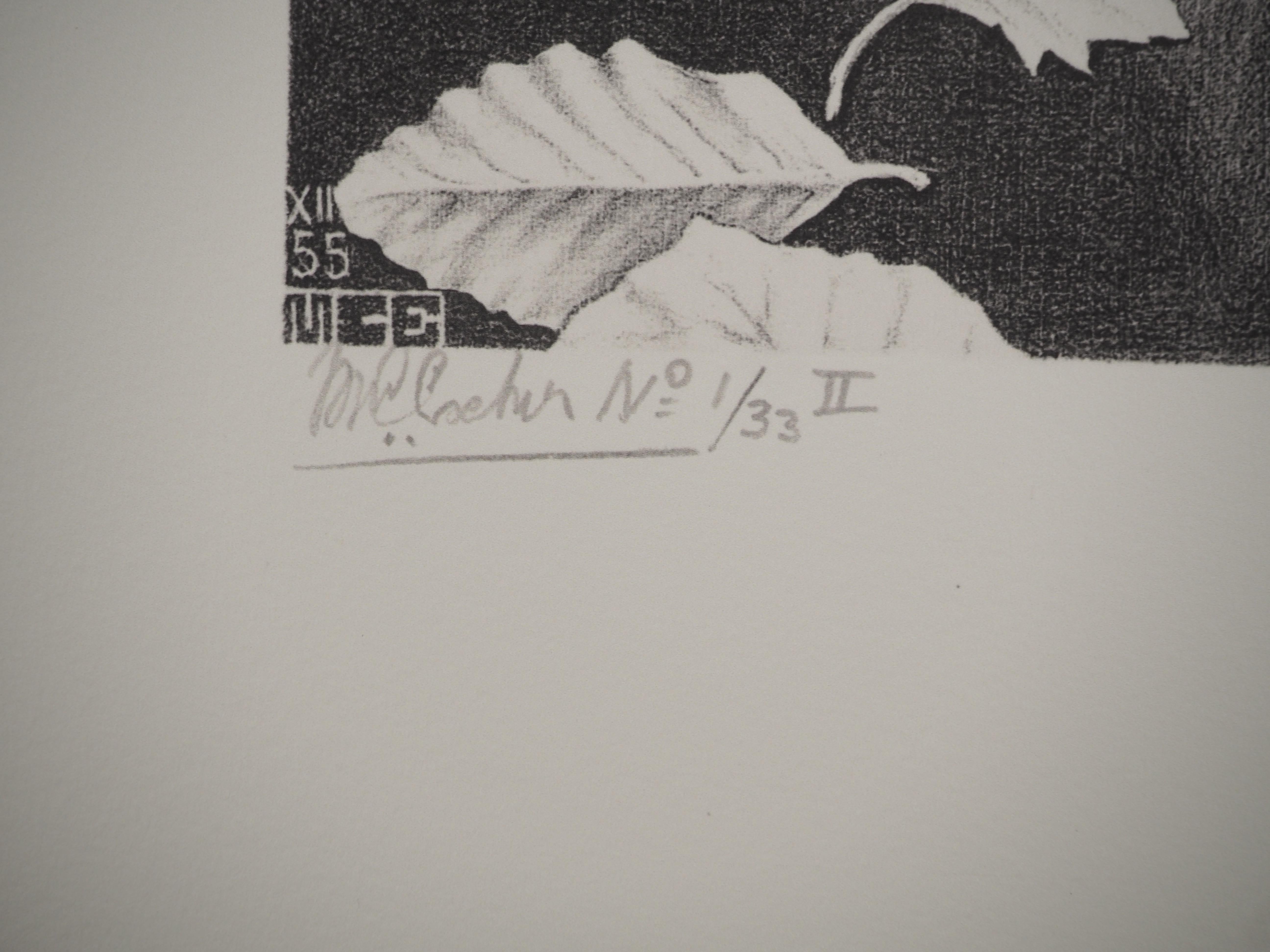 NATURE - Autumn and Carp - Signed Facsimile, Ltd /450 - Gray Landscape Print by M.C. Escher