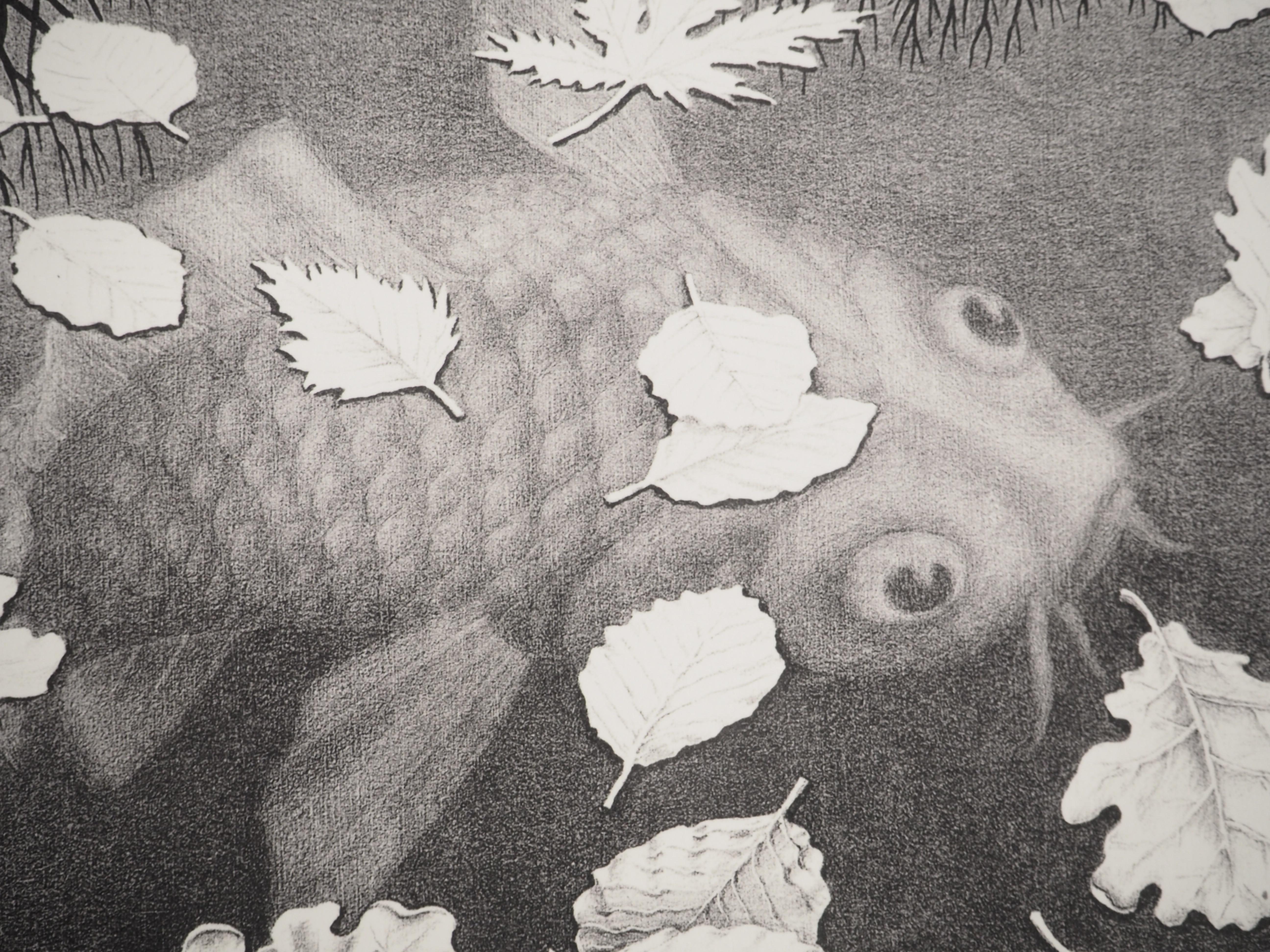 NATURE - Autumn and Carp - Signed Facsimile, Ltd /450 For Sale 3