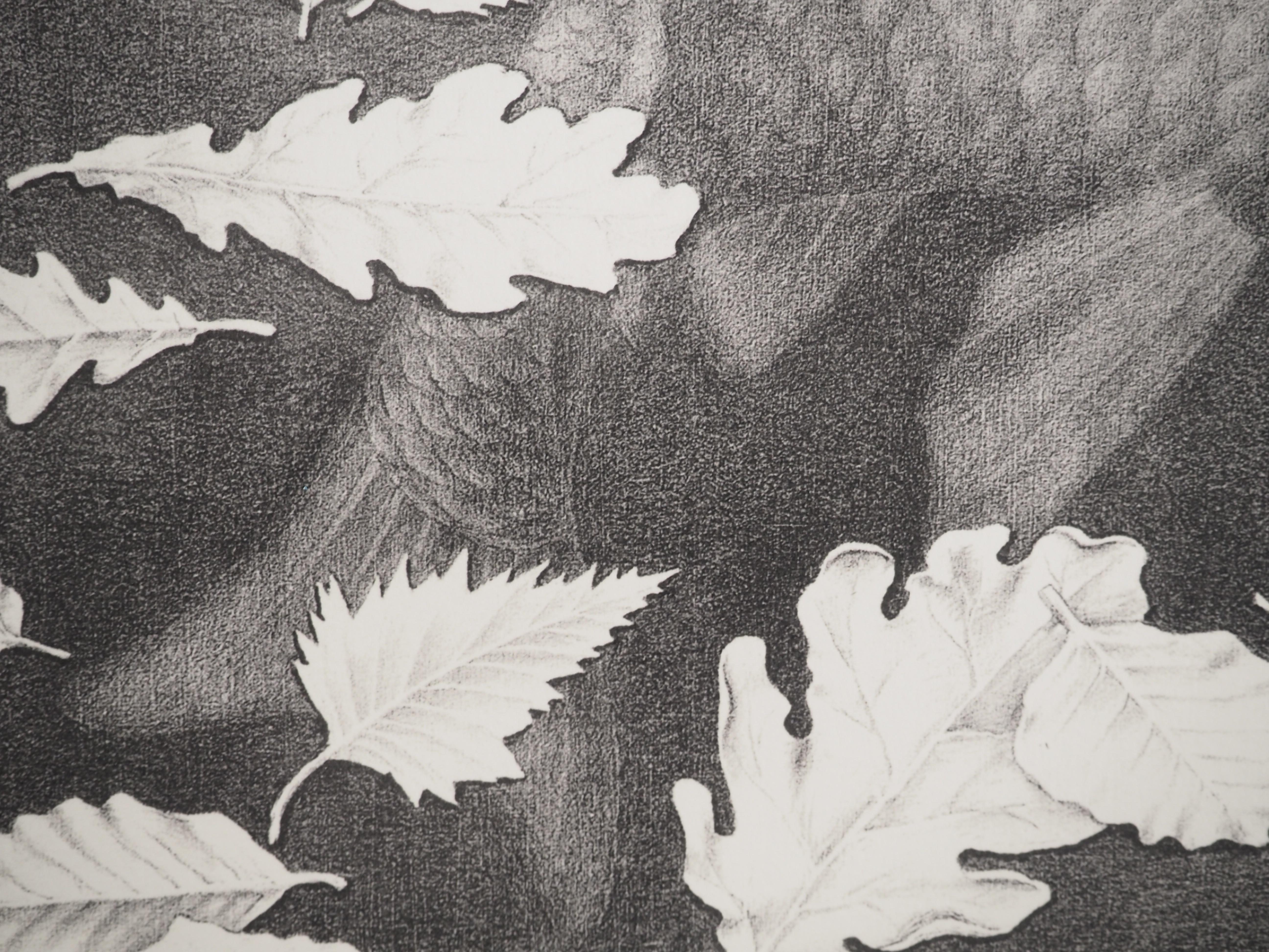 NATURE - Autumn and Carp - Signed Facsimile, Ltd /450 For Sale 5