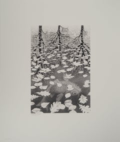 NATURALEZA - Otoño y Carpa - Facsímil firmado, Ltd /450