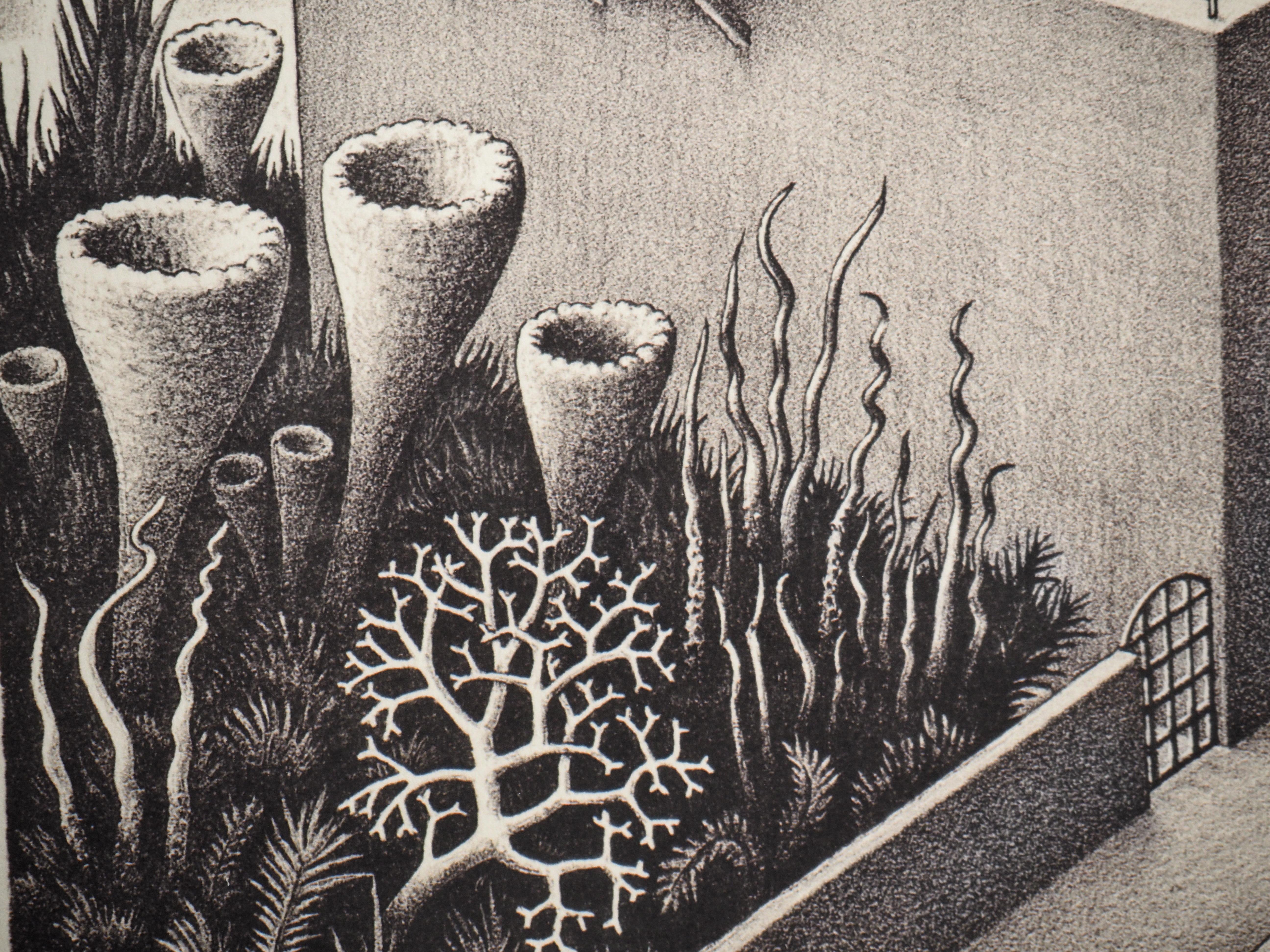 The Waterfall - Signed Facsimile, Ltd /450 For Sale 6