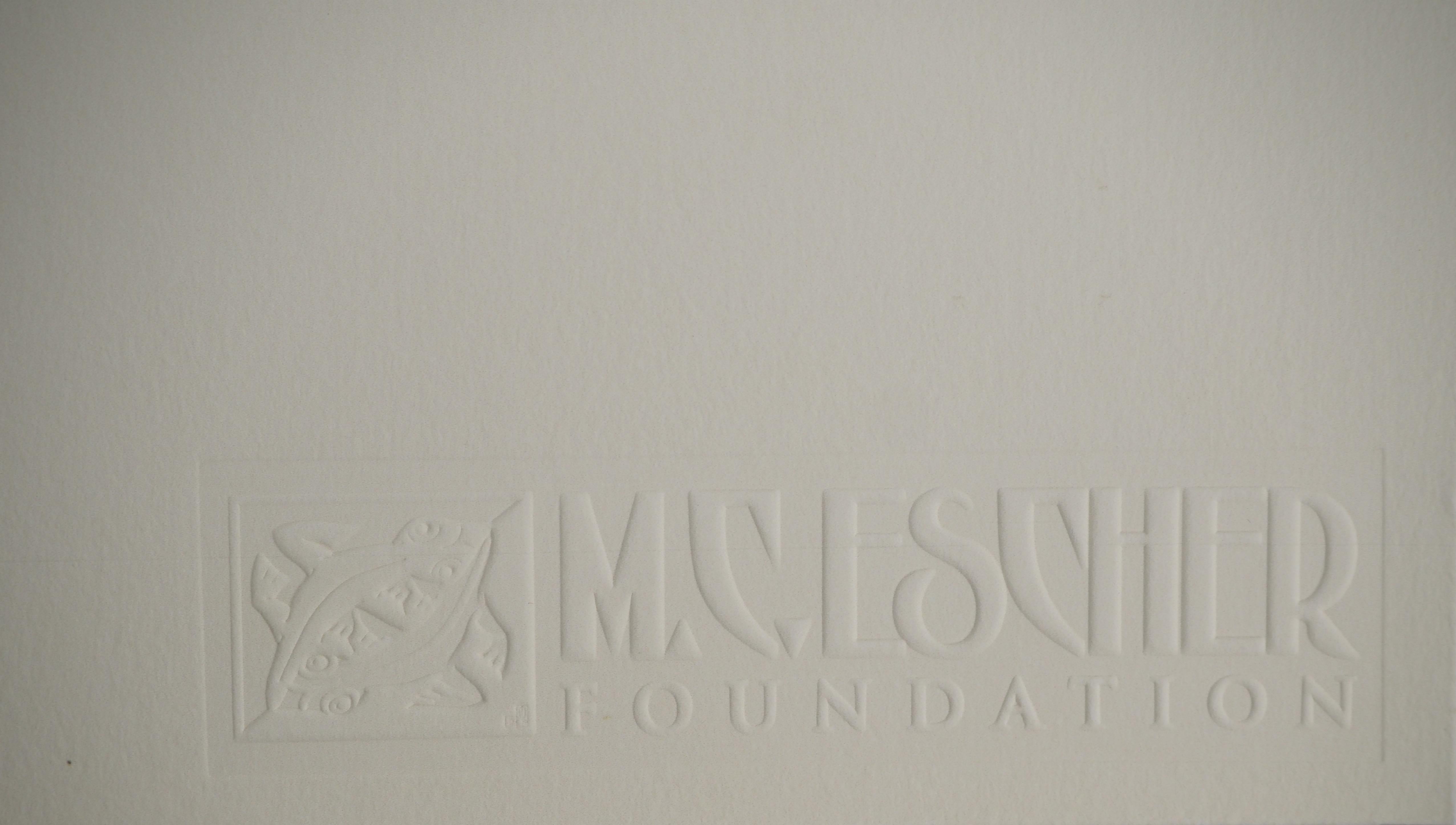 The Waterfall - Signed Facsimile, Ltd /450 For Sale 1