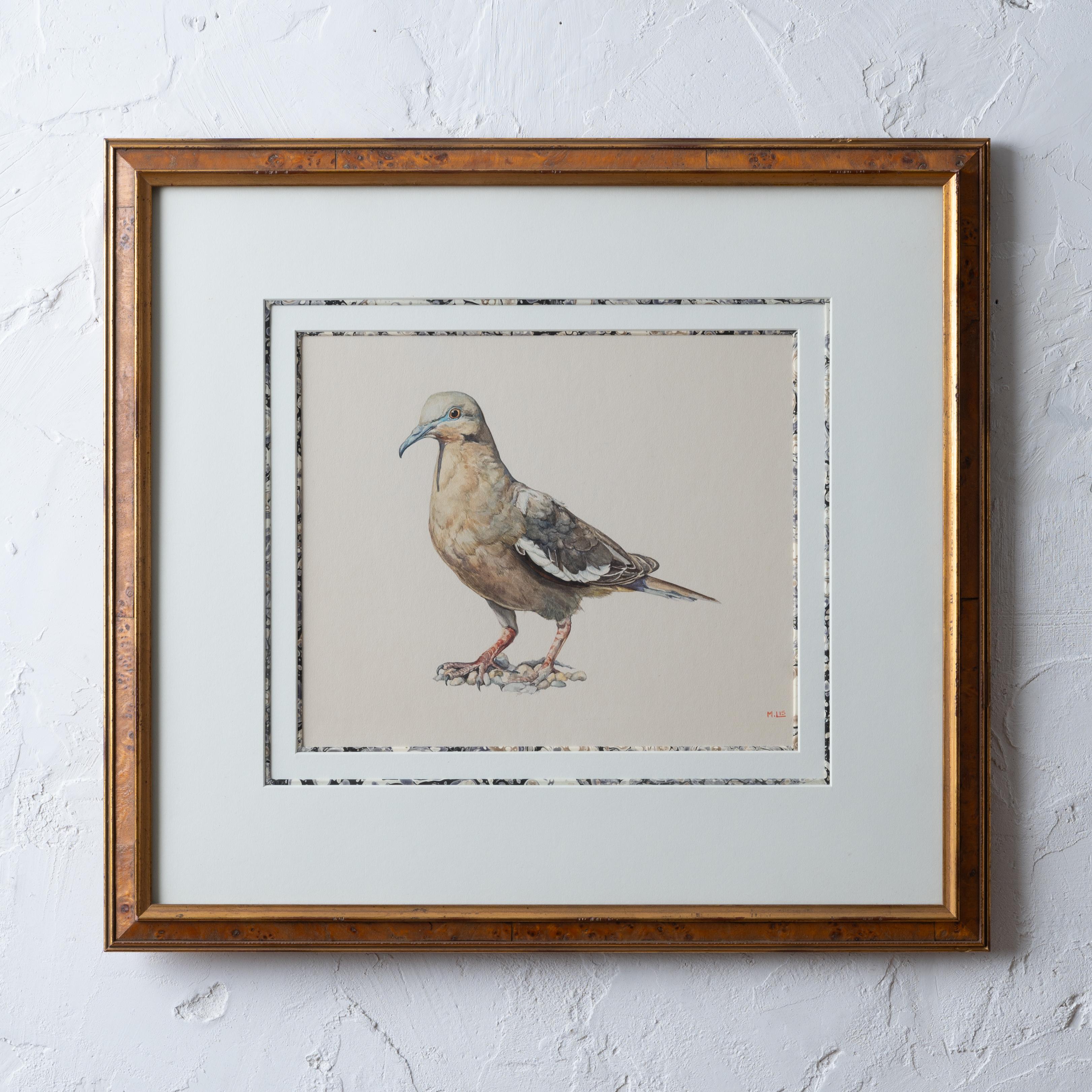 M. Lis
(20th Century)

A finely painted and framed pigeon watercolor.  

sight: 11 ¾ by 9 ¾ inches
frame: 21 ½ by 19 ¾ inches

