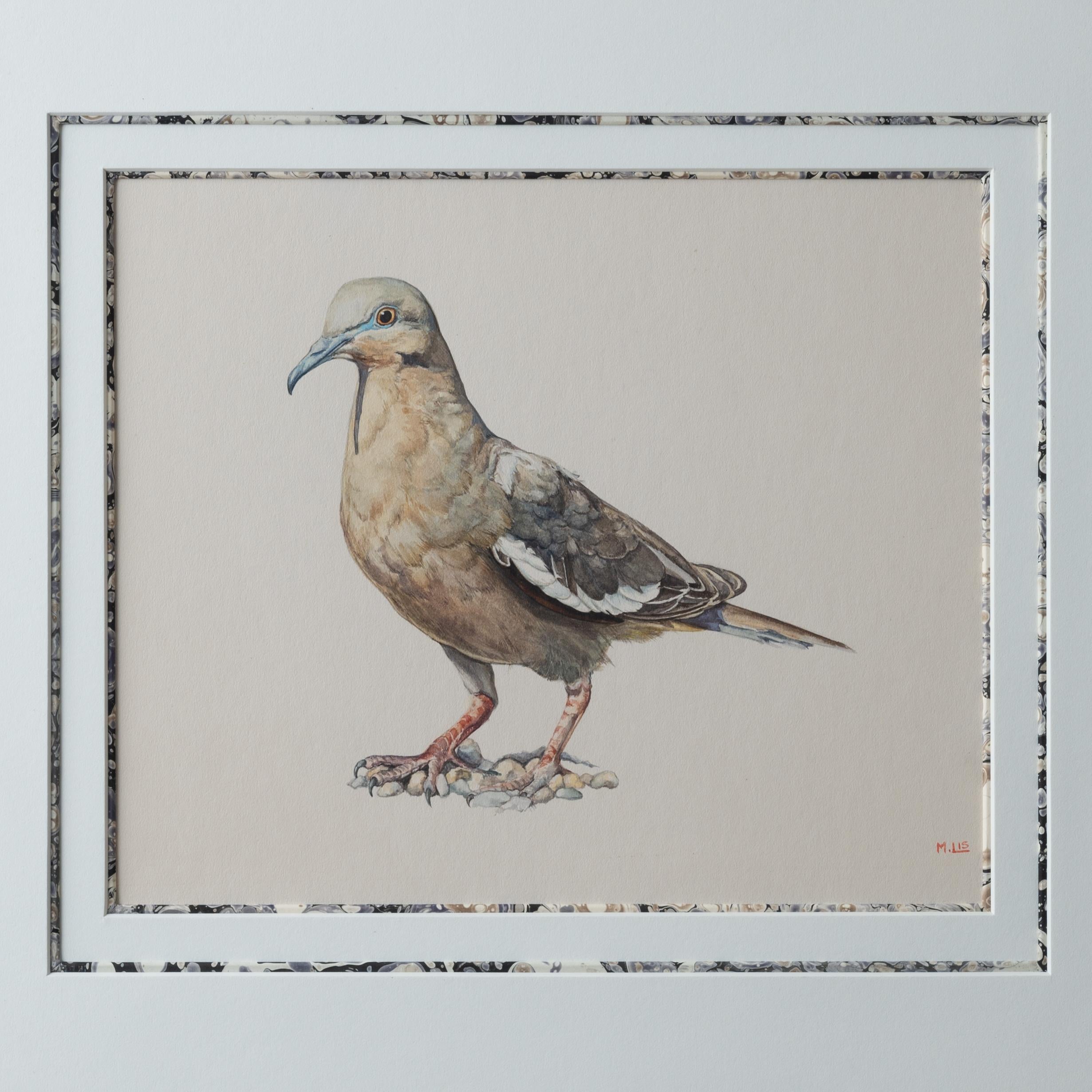 M. Lis - Pigeon Watercolor Painting In Good Condition For Sale In Savannah, GA