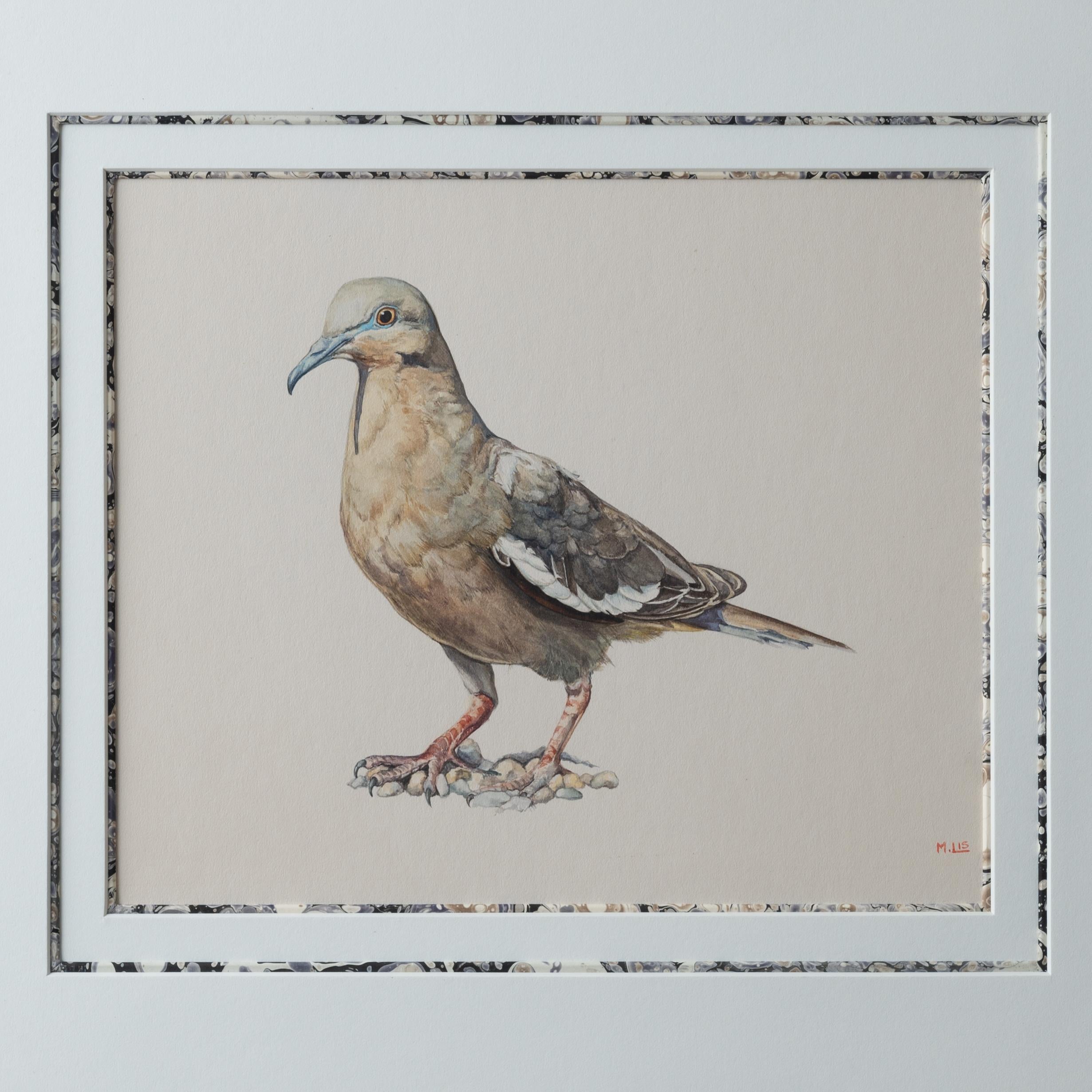 M. Lis – Pigeon-Aquarellgemälde im Zustand „Gut“ im Angebot in Savannah, GA