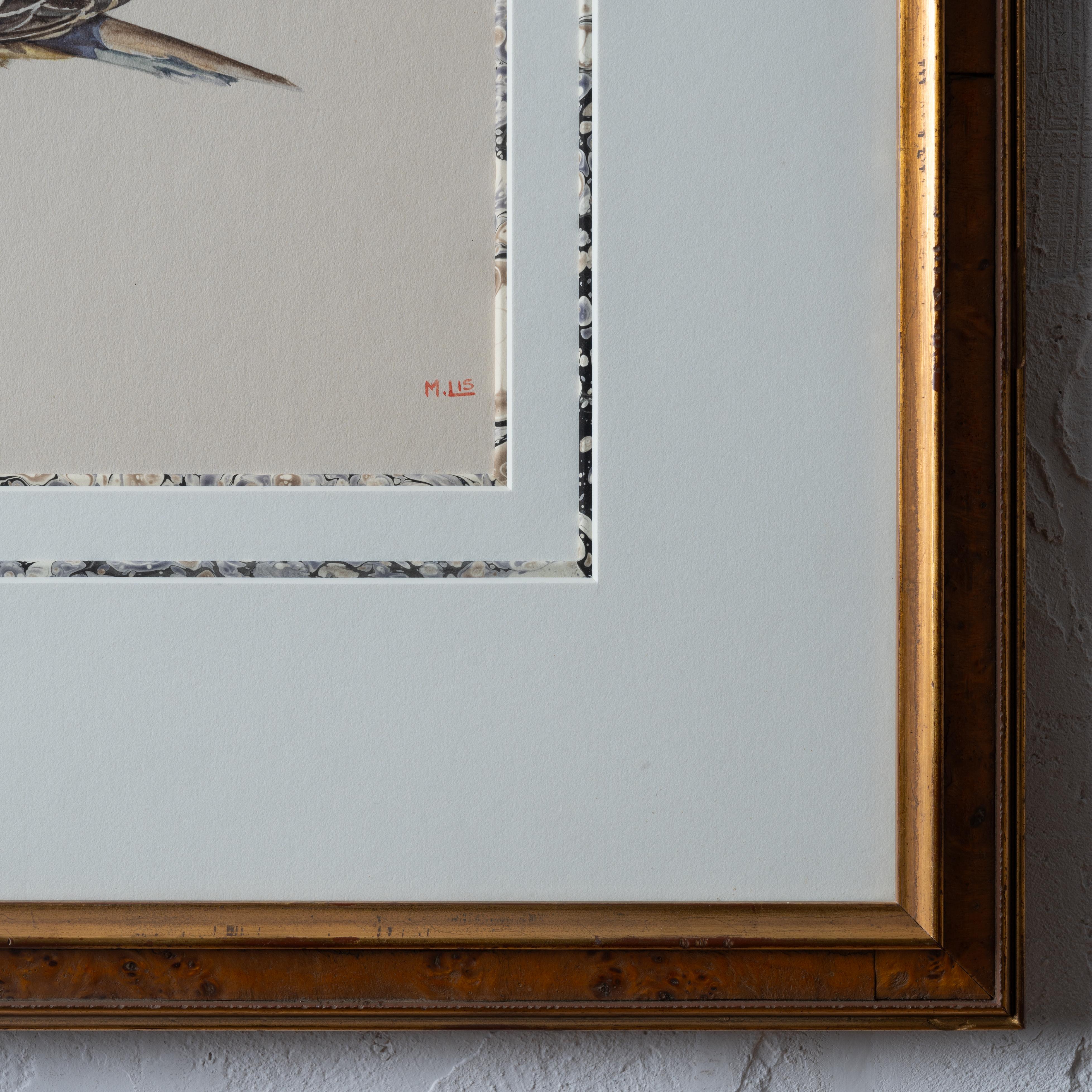 M. Lis – Pigeon-Aquarellgemälde (20. Jahrhundert) im Angebot