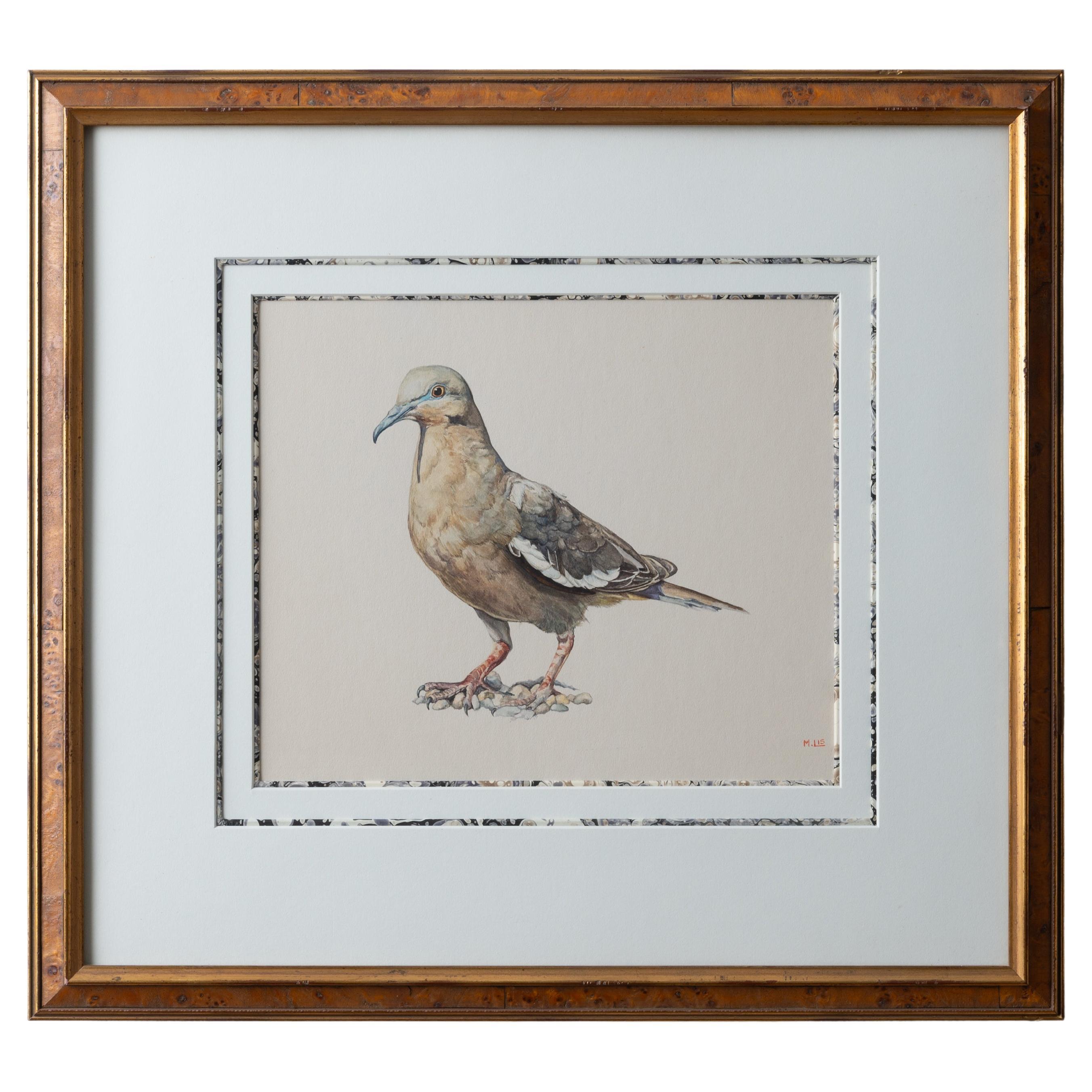 M. Lis - Pigeon Watercolor Painting For Sale