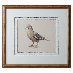 Vintage M. Lis - Pigeon Watercolor Painting