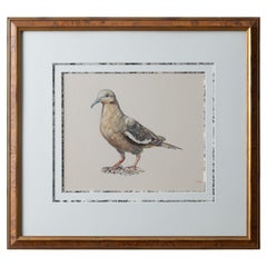 M. Lis – Pigeon-Aquarellgemälde