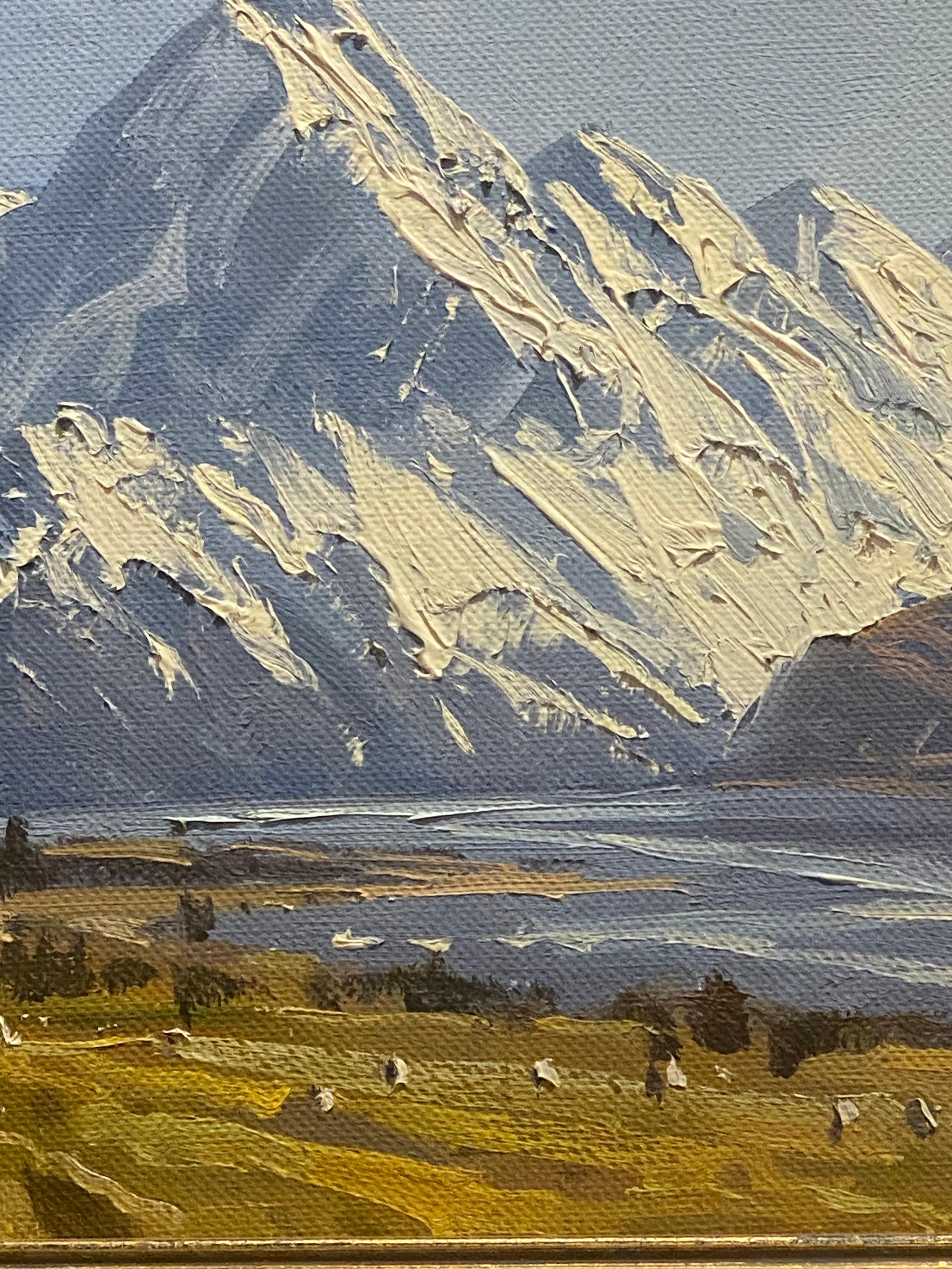 M. Thomas (Neuseeland) „Lillybank Station Mt. Cook“ 1986 Öl auf Leinwand Gemälde für Damen oder Herren im Angebot