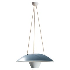 M4 Dark Grey And White Pendant Lamp by Disderot