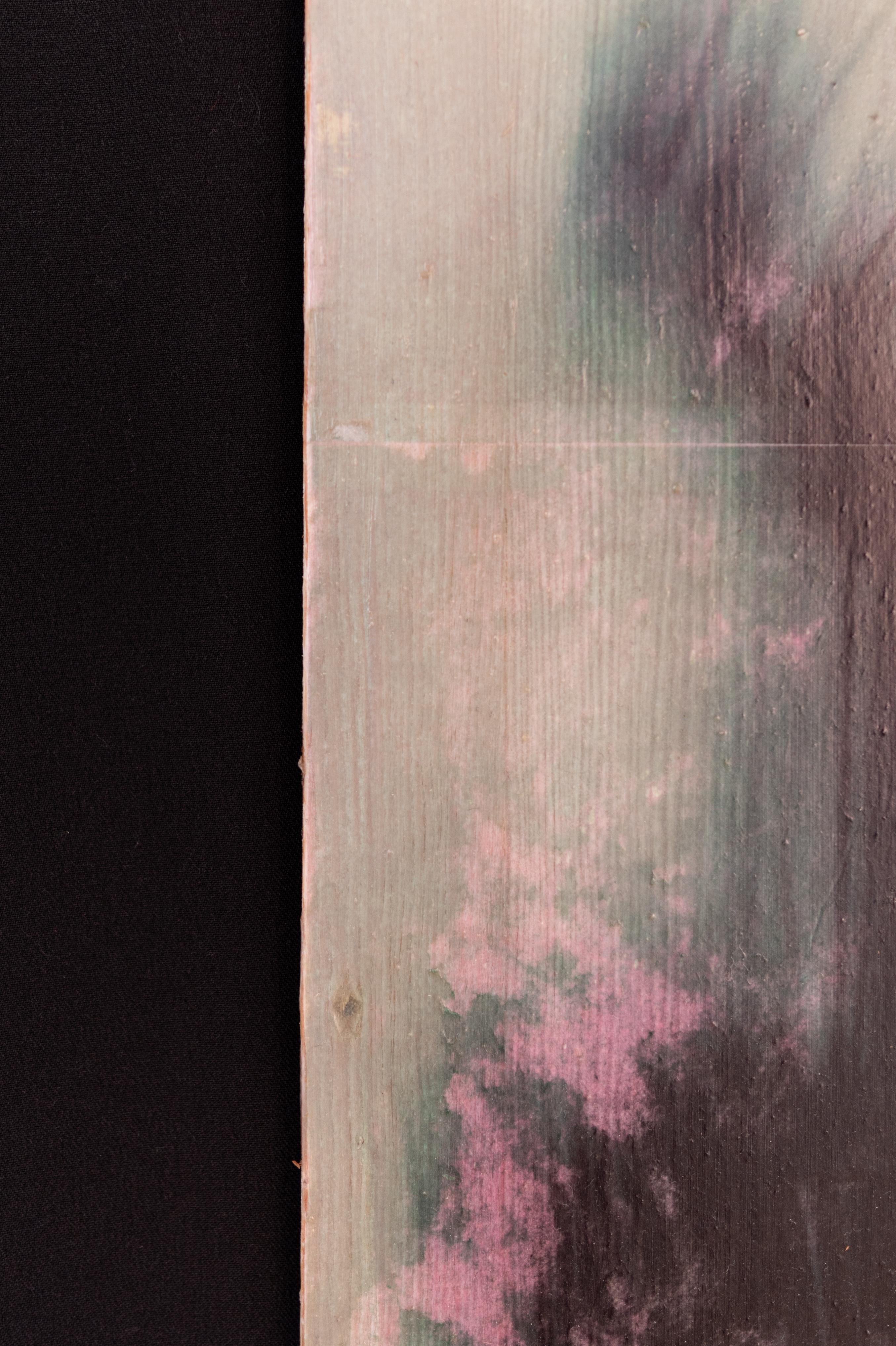 Fotografia su pannello di legno, Eva (la danzatrice) (2022), di Maarten Marchau 3