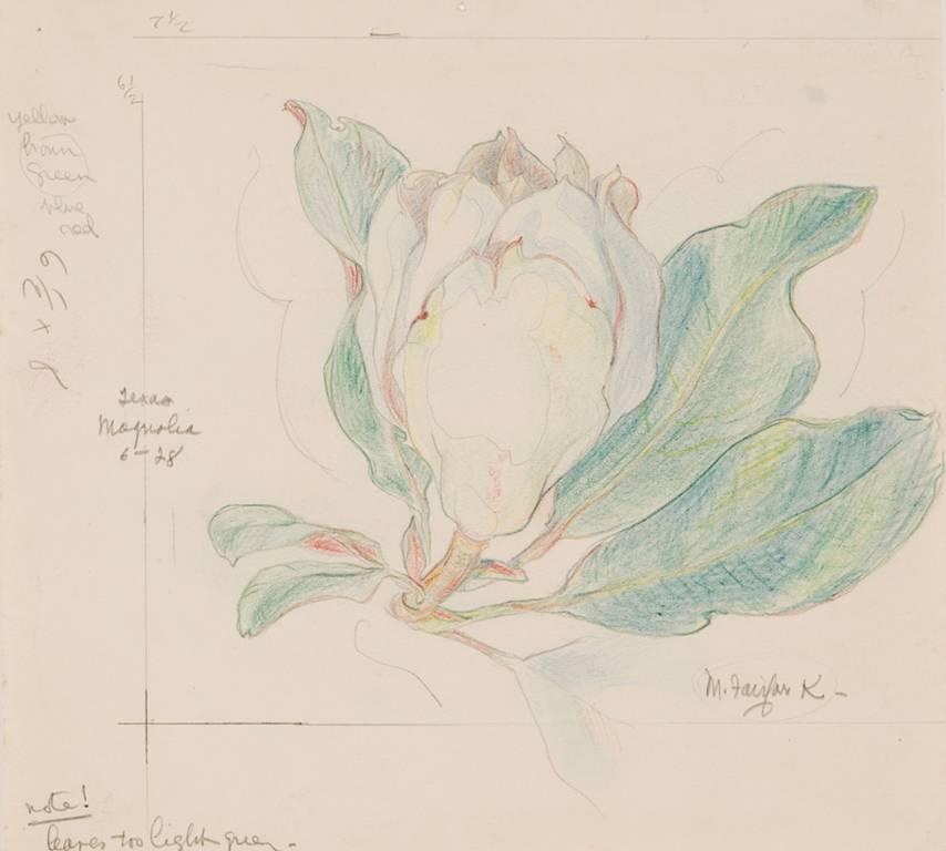 Mabel Fairfax Karl Still-Life - Magnolia Bud