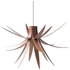 Mac Master "Iris" Walnut Organic British Ceiling Lamp, United Kingdom, 2018