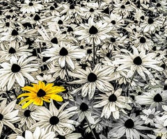 Being Different