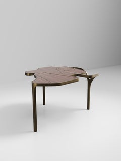Macassar Cocteau Coffee Table with Bronze Patina Brass Accents by R & Y Augousti