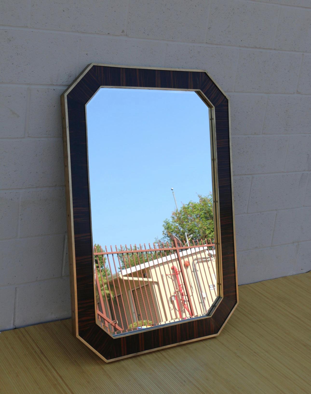 Contemporary Macassar Ebony and Brass Wall Mirror Modern Style For Sale