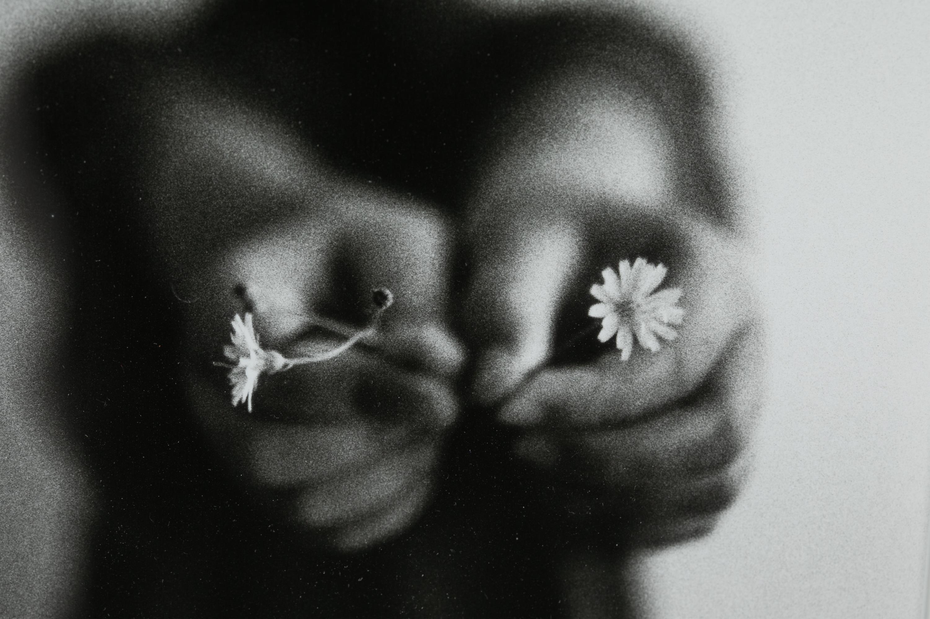 Machiel Botman Tirage photographique gélatino-argentique IJKE 1993 Photo Flowers en vente 1