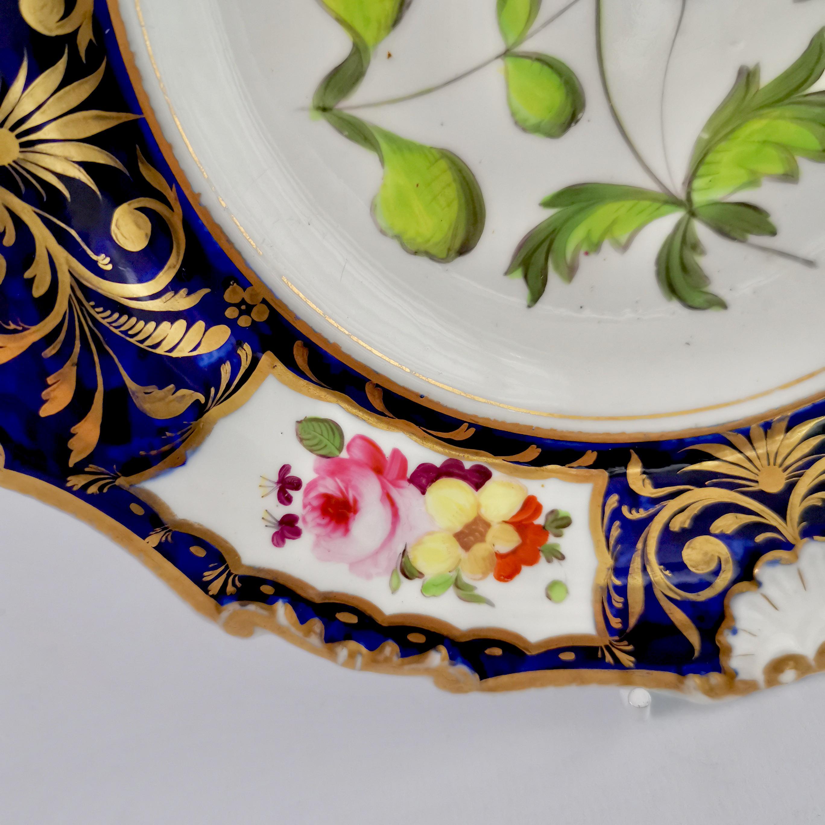 Machin Porcelain Plate, Cobalt Blue, Gilt and Flowers, Regency, circa 1820 6